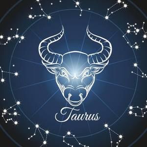 Meet your Posher, Peter